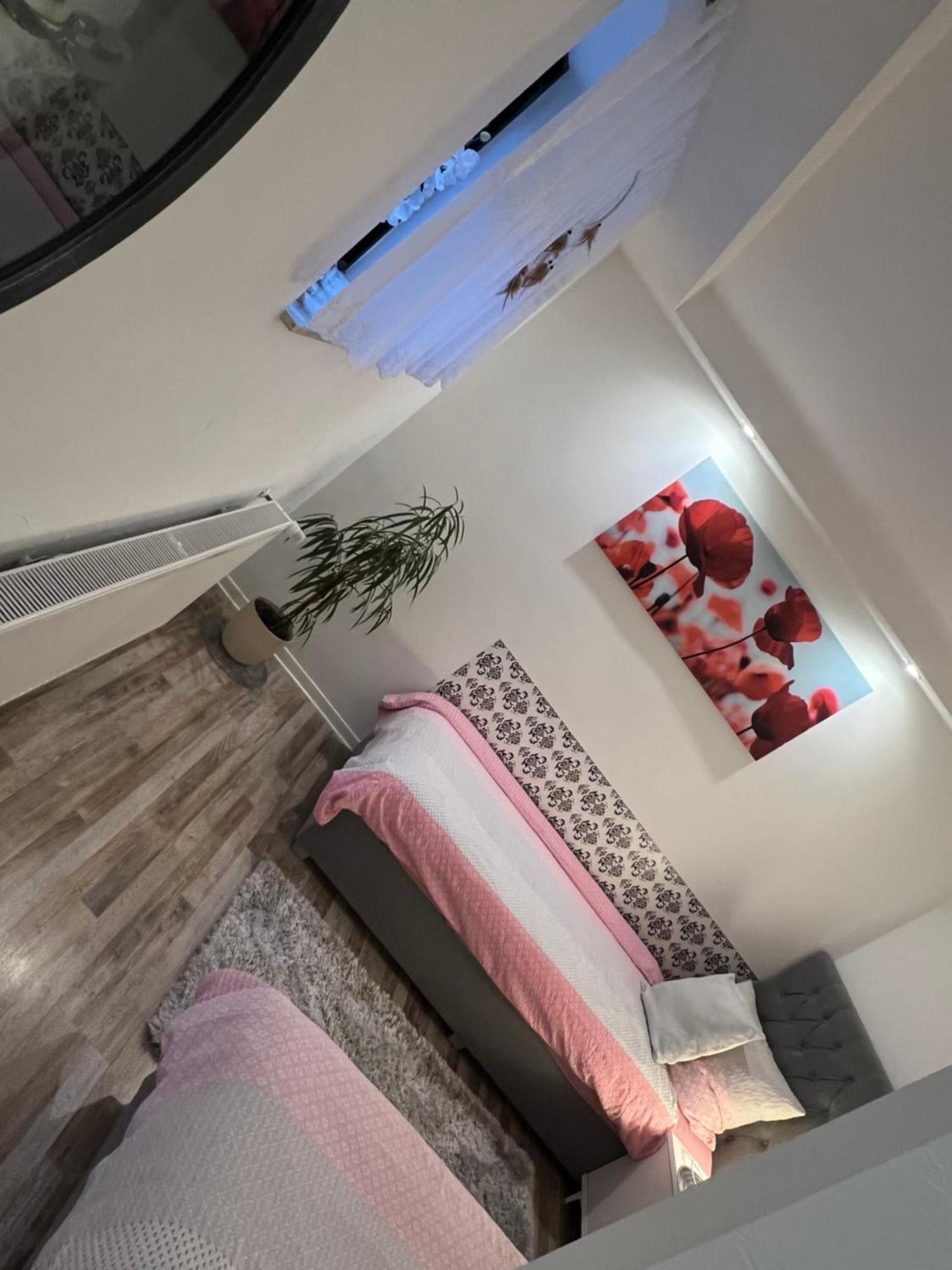 Nentershausen  Beti Apartment 2 מראה חיצוני תמונה